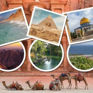 A group of camels are standing in front of a pyramid.