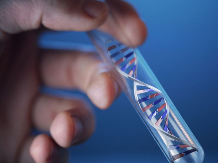 DNA & Paternity Testing