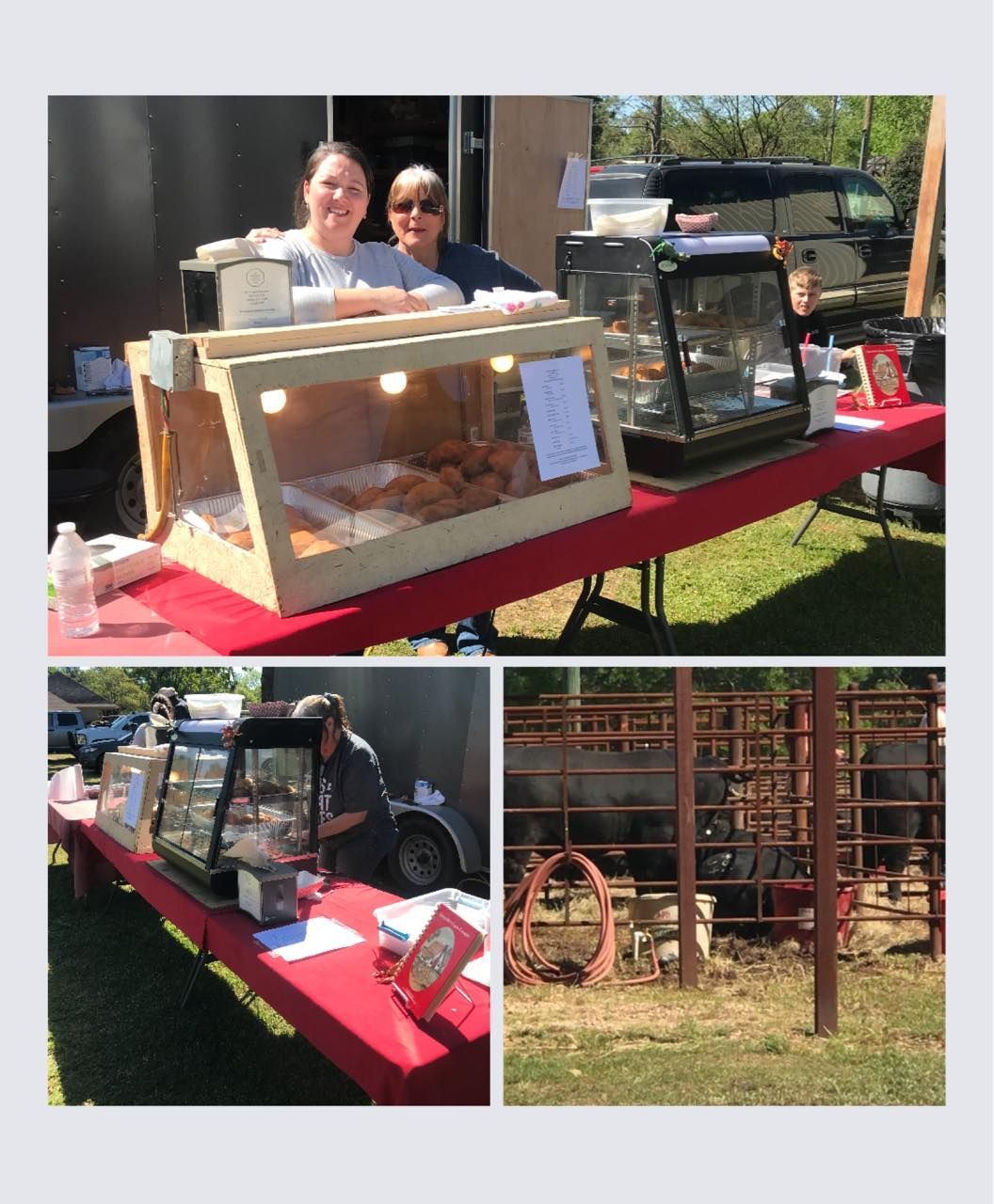 Food stand with two women, donuts and other baked goods, and a pen of cattle.