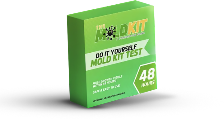 A green box that says `` do it yourself mold kit test '' is sitting on a white surface.