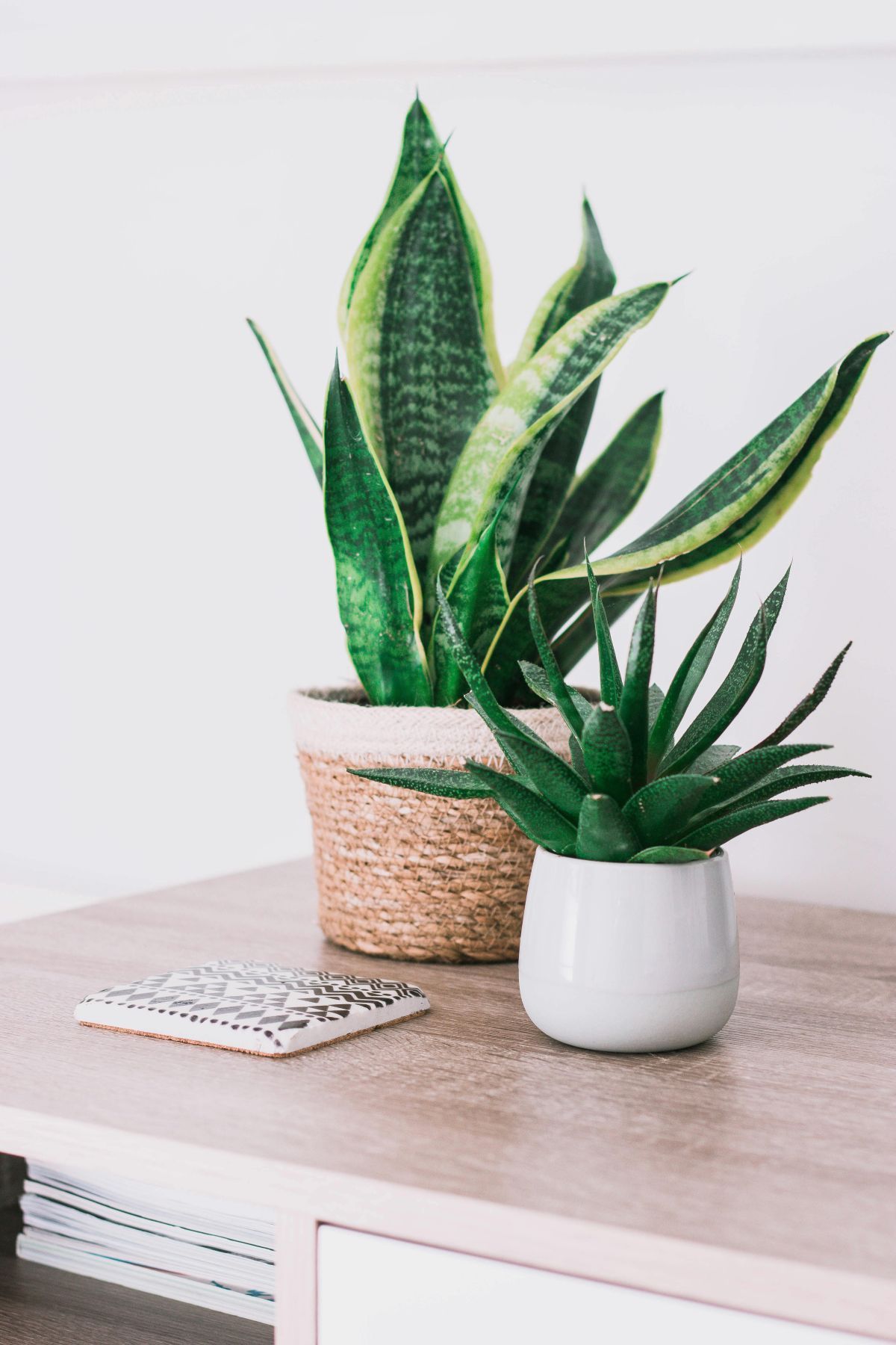 Two potted plants are sitting on a wooden table.