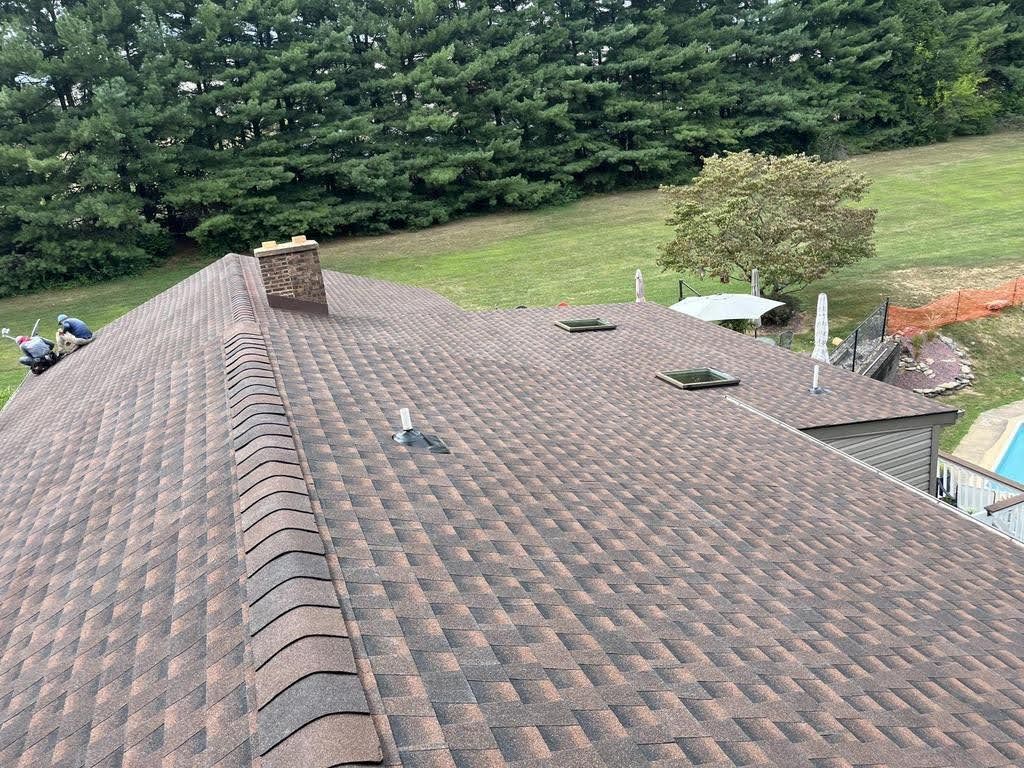 An aerial view of a roof with a chimney and trees in the background.