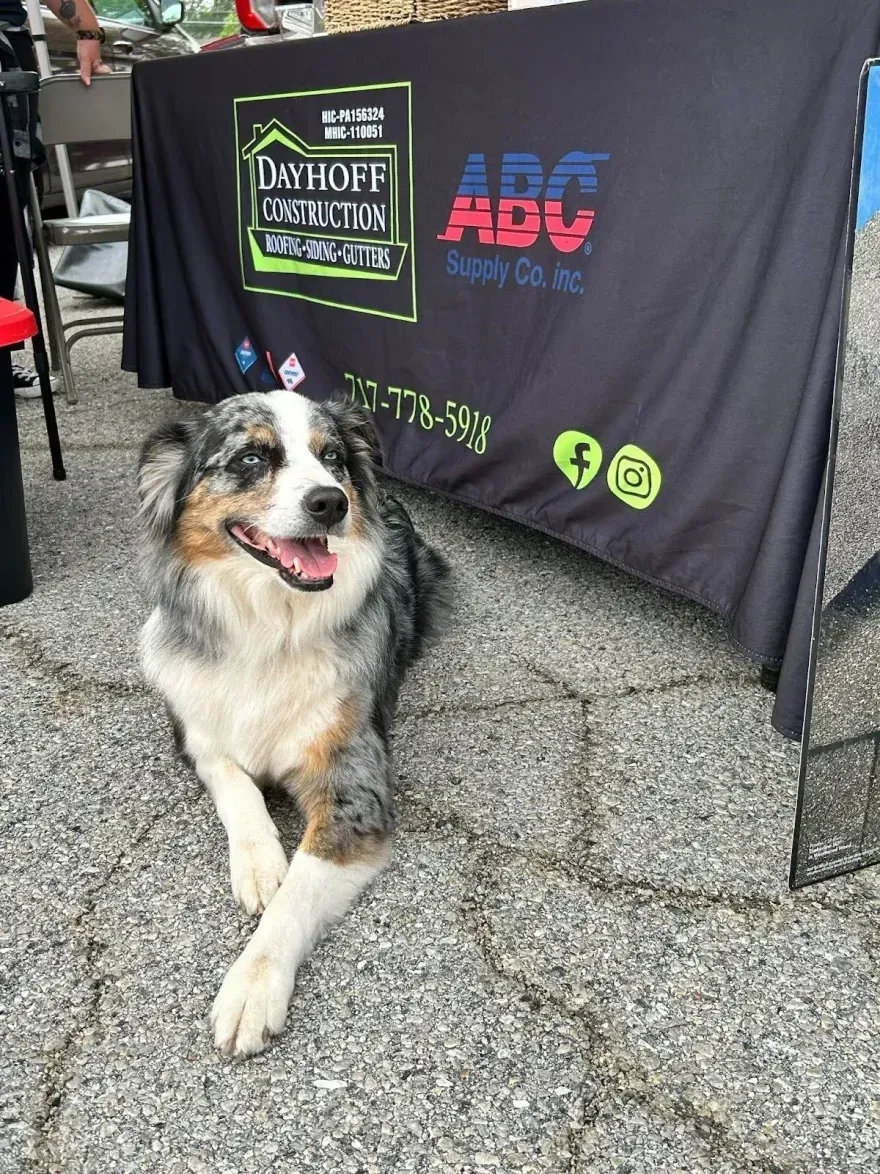 A dog is laying on the ground in front of a table.