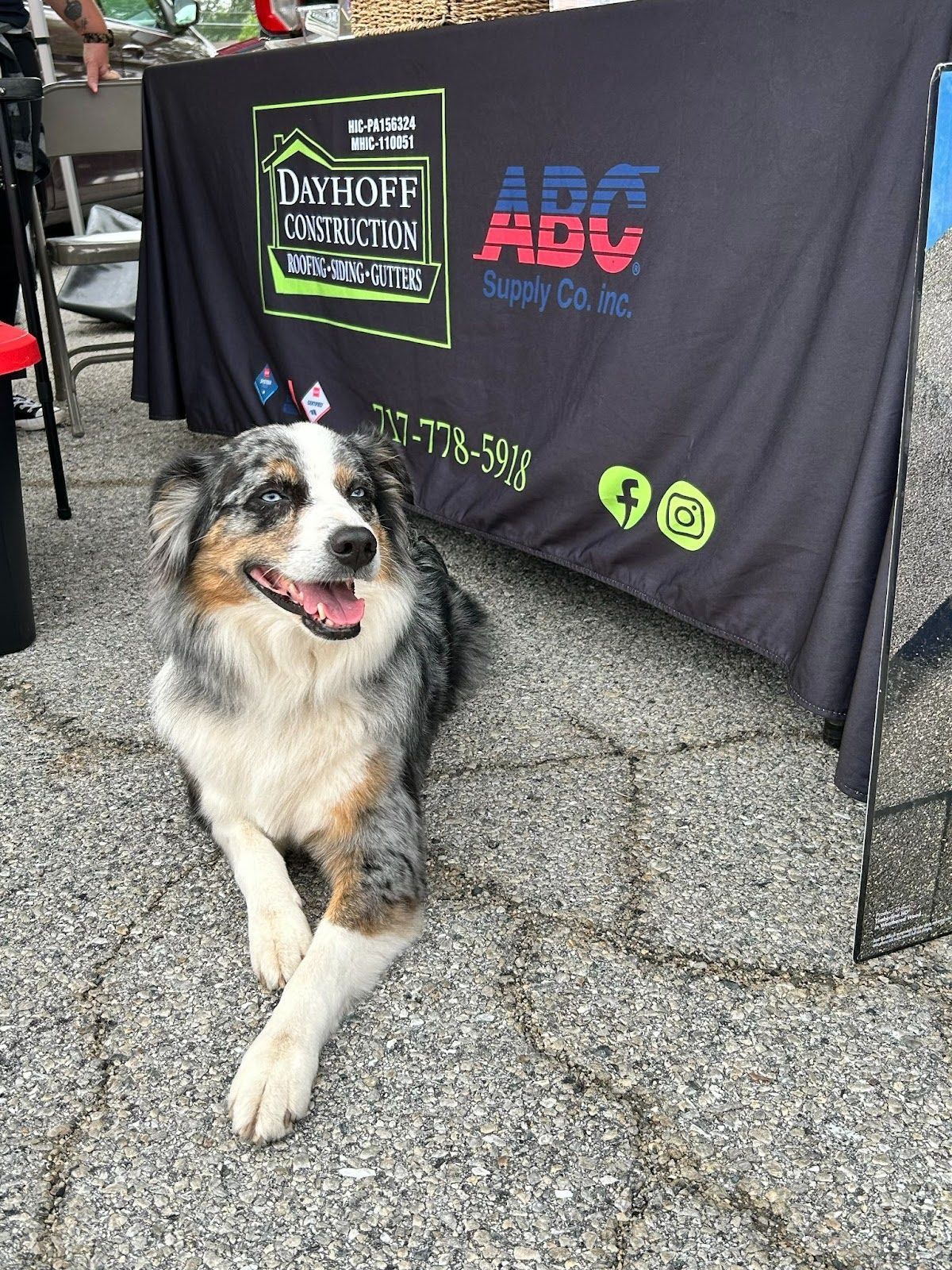 A dog is laying on the ground in front of a table.