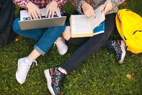 students study together on the grass