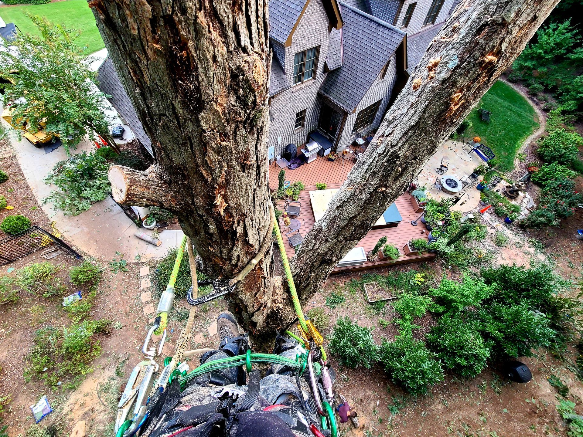 Baldwin County's Tree Trimming Co.