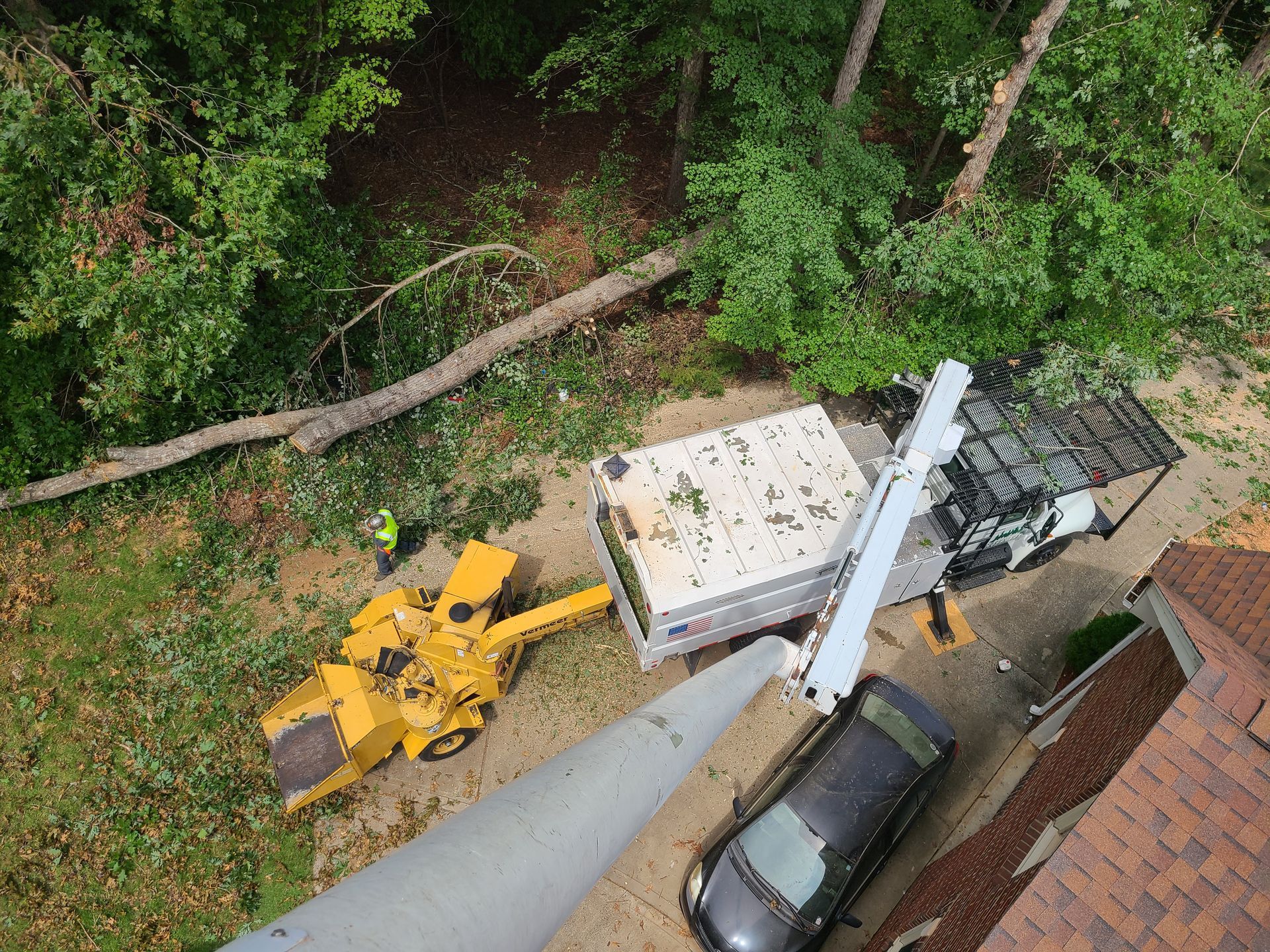 Best Tree Trimming Foley Alabama