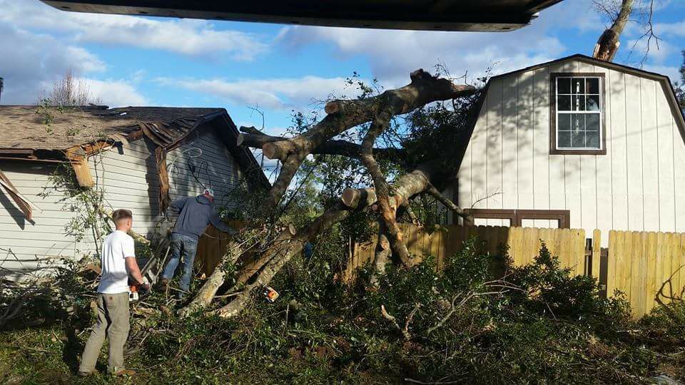 best tree removal company Gulf Shores Alabama