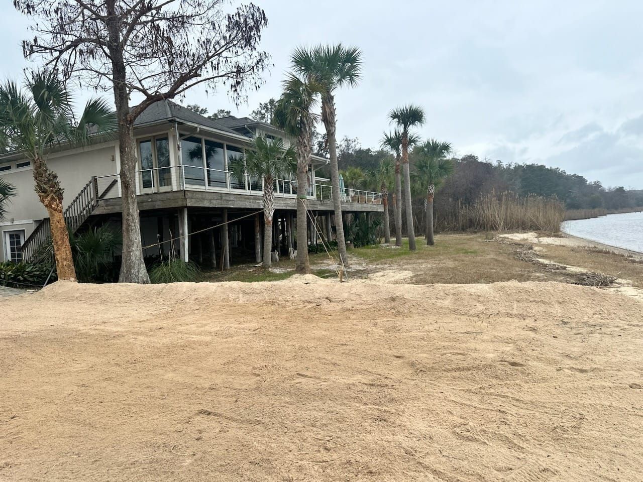 tree removal and trimming Daphne Alabama