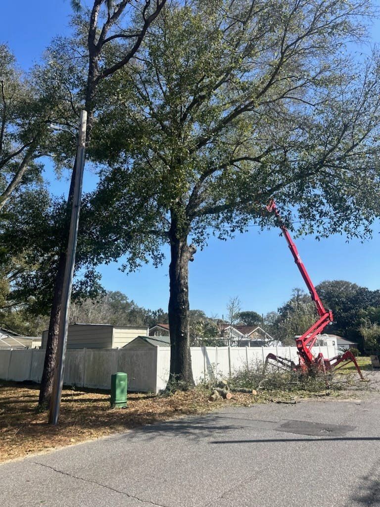 Tree Trimming Baldwin County AL