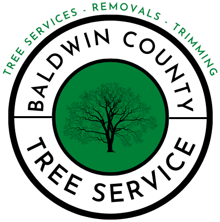 Economy Tree Service Pensacola