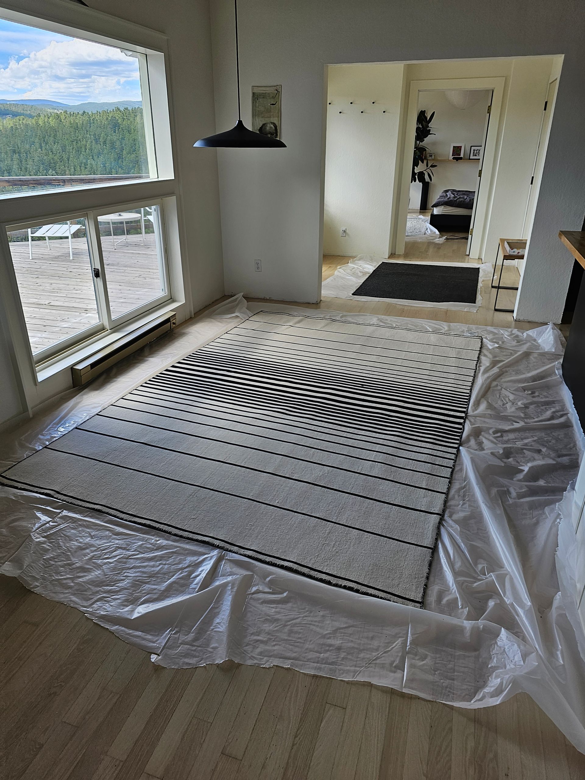 Rug Cleaning Lafayette Co