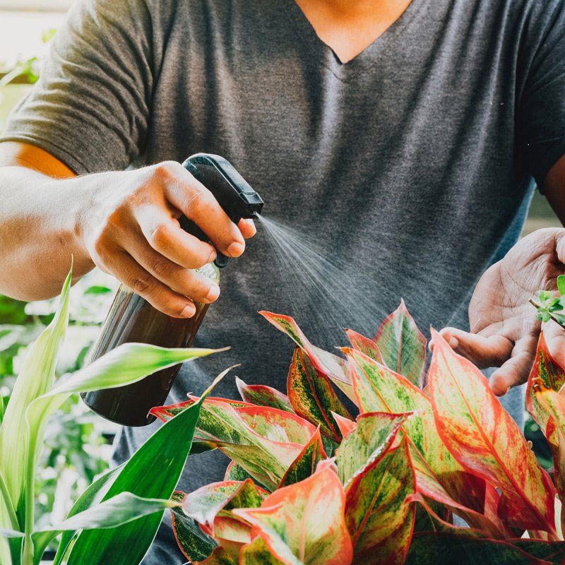 Watering The Flowers — Spartanburg, SC — Sunburst Nursery & Landscape Inc.