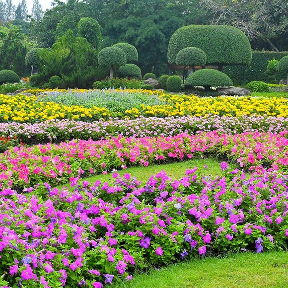 Beautiful Flower Garden — Spartanburg, SC — Sunburst Nursery & Landscape Inc.
