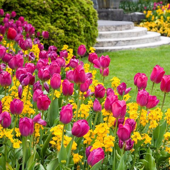 Garden With Colorful Flower — Spartanburg, SC — Sunburst Nursery & Landscape Inc.