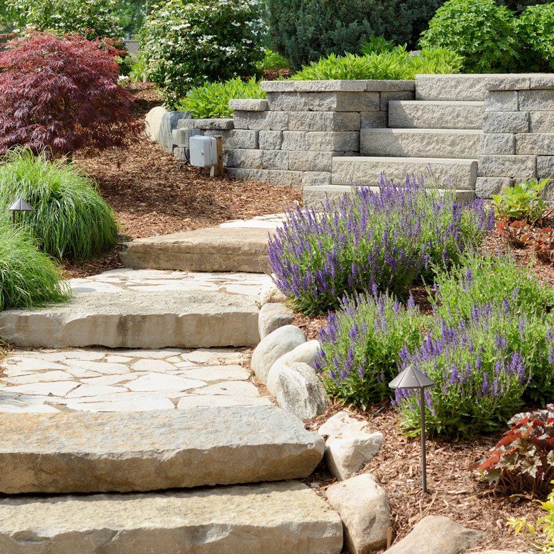 Stone Path And Plants — Spartanburg, SC — Sunburst Nursery & Landscape Inc.
