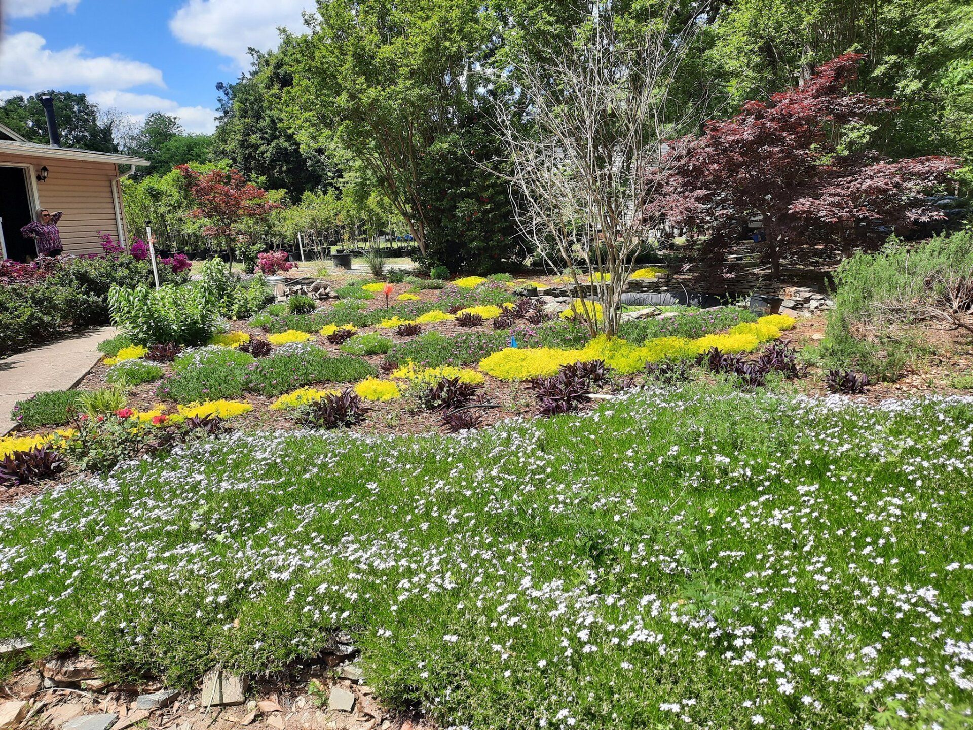 Landscaping | Spartanburg, SC | Sunburst Nursery & Landscape