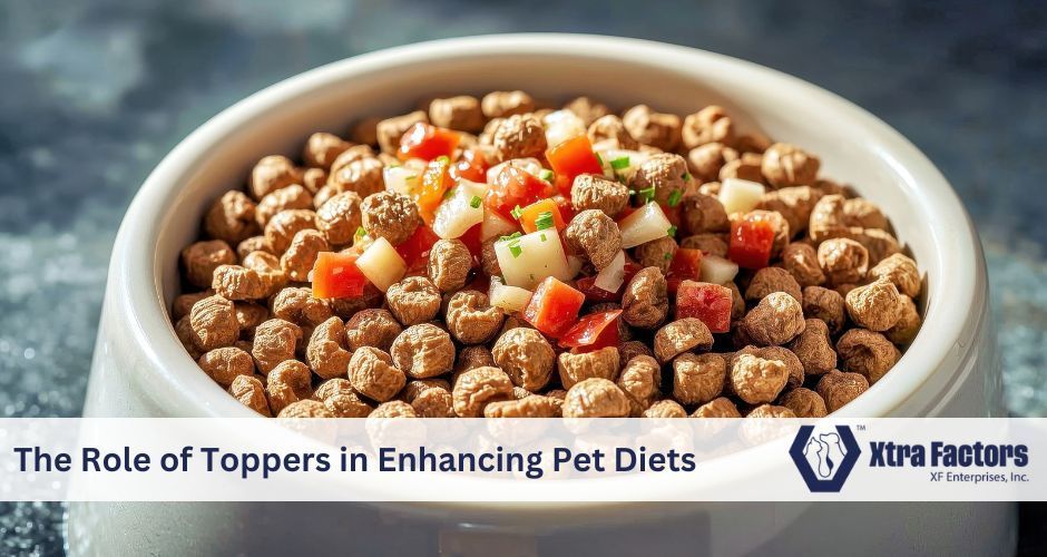 A dog bowl filled with dry food and colorful vegetable toppers; text: 