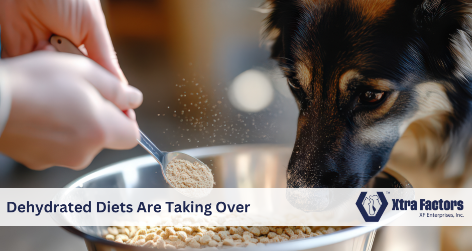 Why Dehydrated Diets Are Taking Over the Pet Food Aisle