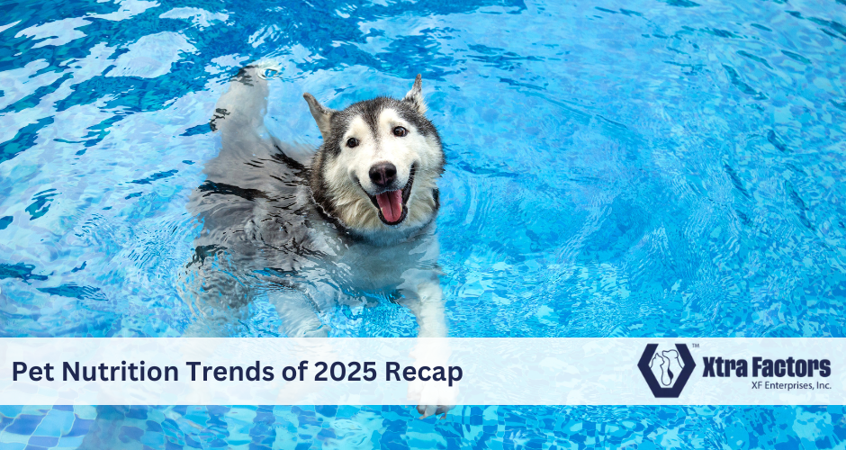 The Biggest Pet Nutrition Trends We Saw This Year &mdash; and What They Mean for Brands in 2026