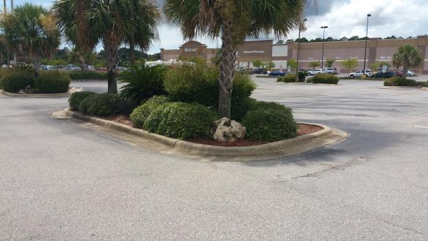 Gator Grass LLC Lawncare in Pensacola FL Landscaping