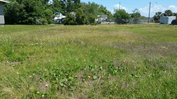 Gator Grass LLC Lawncare in Pensacola FL Lawns