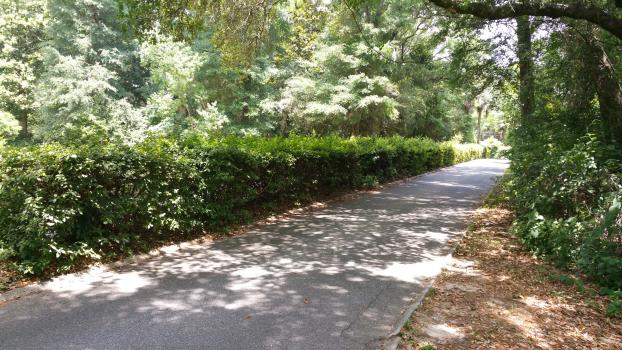 Gator Grass LLC Lawncare in Pensacola FL Bush Hogging