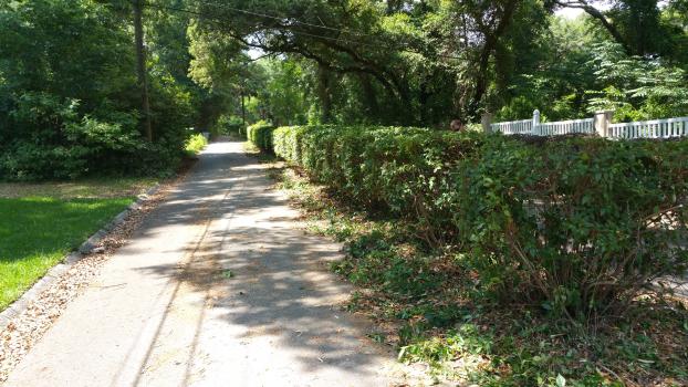 Gator Grass LLC Lawncare in Pensacola FL