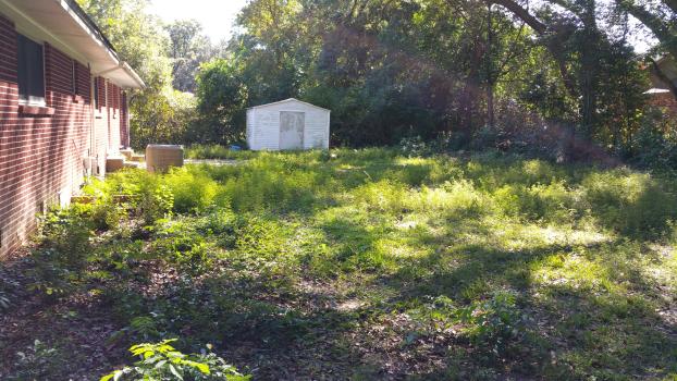 Gator Grass LLC Lawncare in Pensacola FL