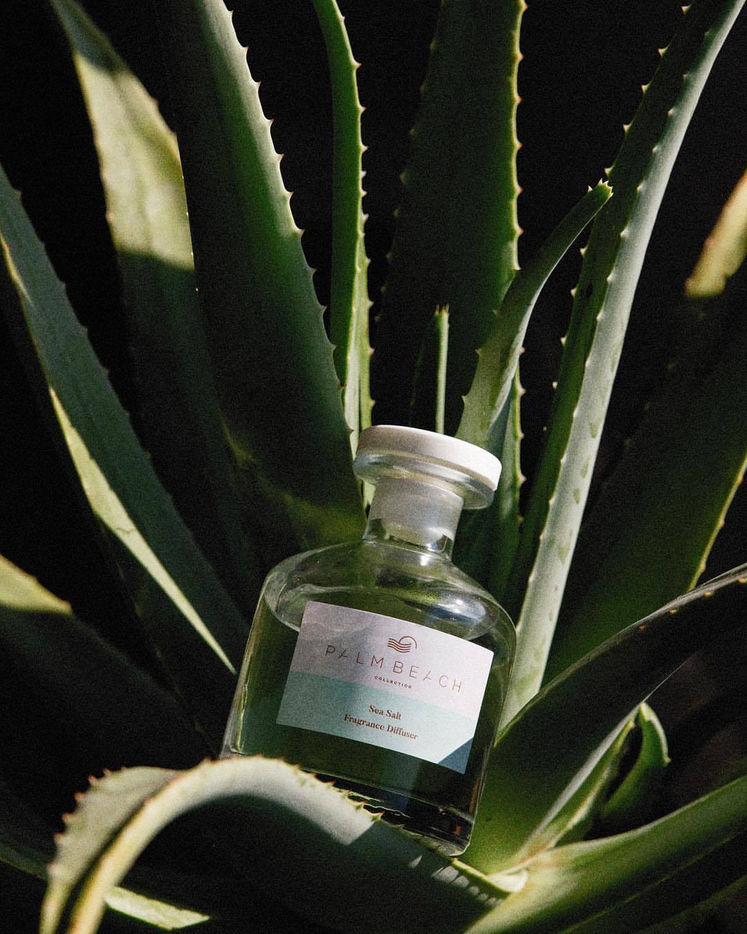 Sea Salt Mini Diffuser Billy Tea Furniture