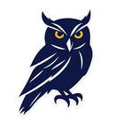 A black owl with gold eyes is sitting on a white background.