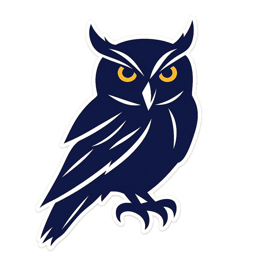 A black owl with gold eyes is sitting on a white background.