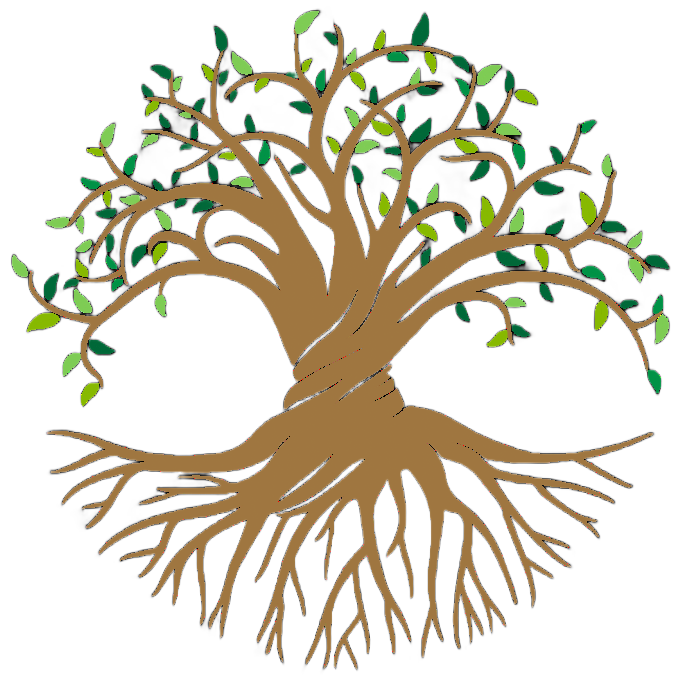 Brown and green tree with twisting trunk and circular roots and leafy branches.