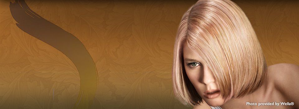 EUROPEAN WARMTH AND NO DRAMA!