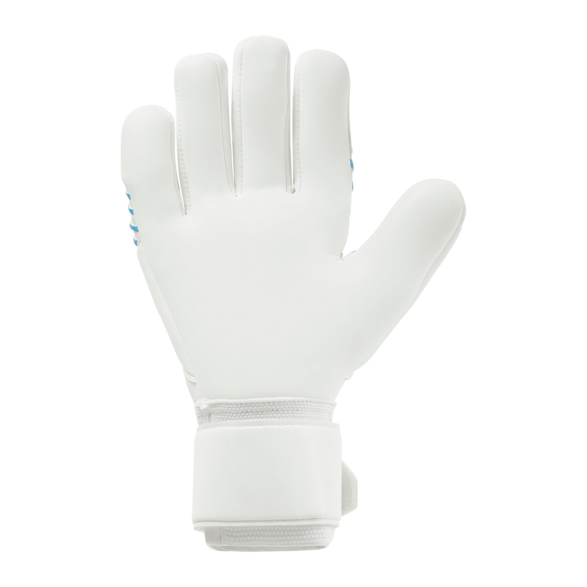 FM Cybertec Supersoft HN