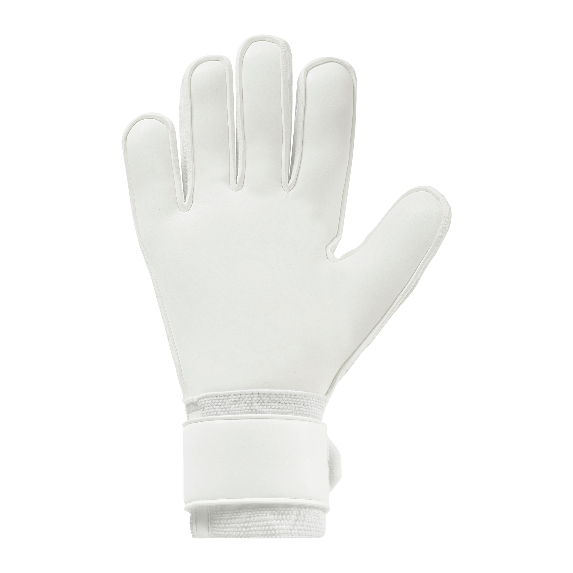 FM Cybertec Soft Pro