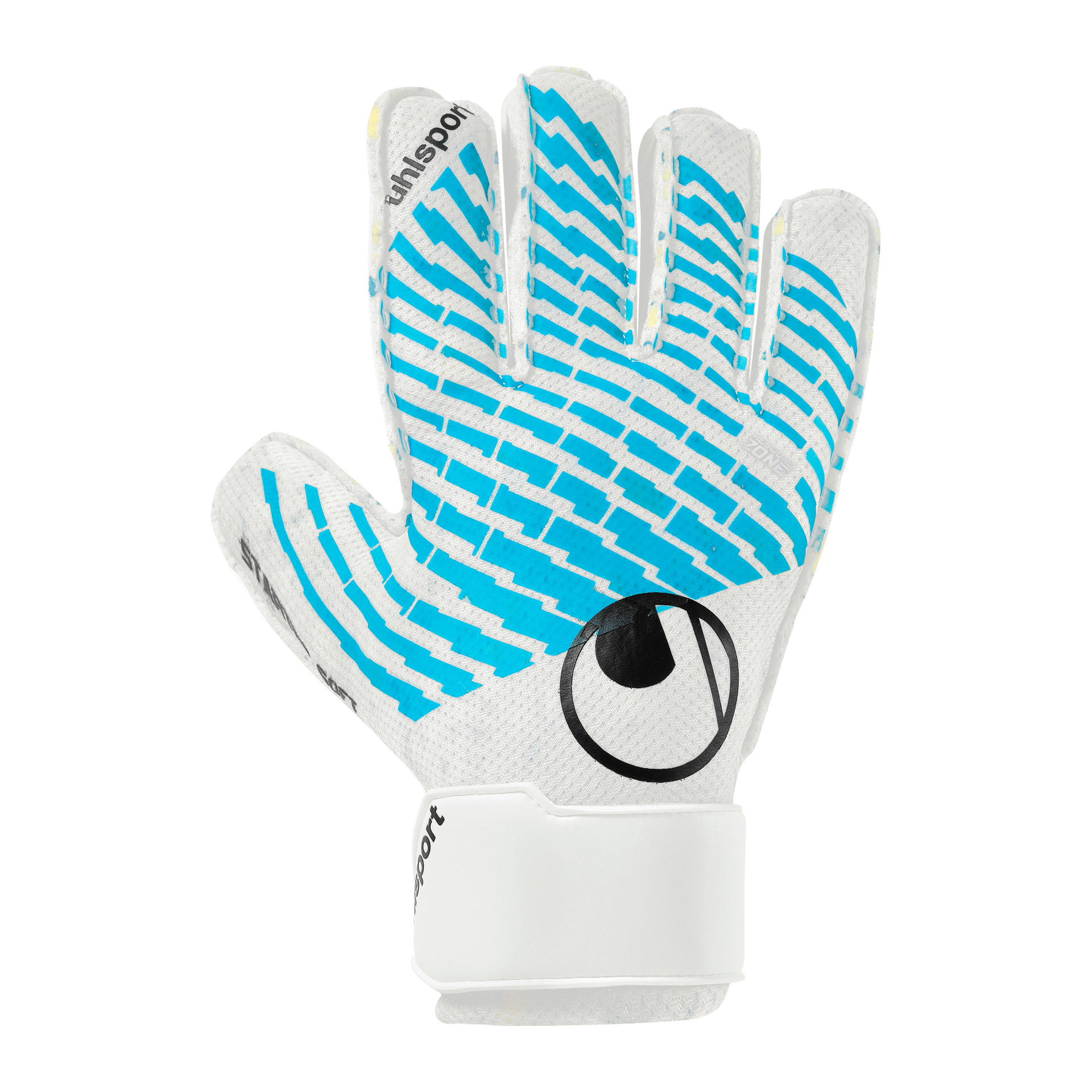 FM Cybertec Starter Soft