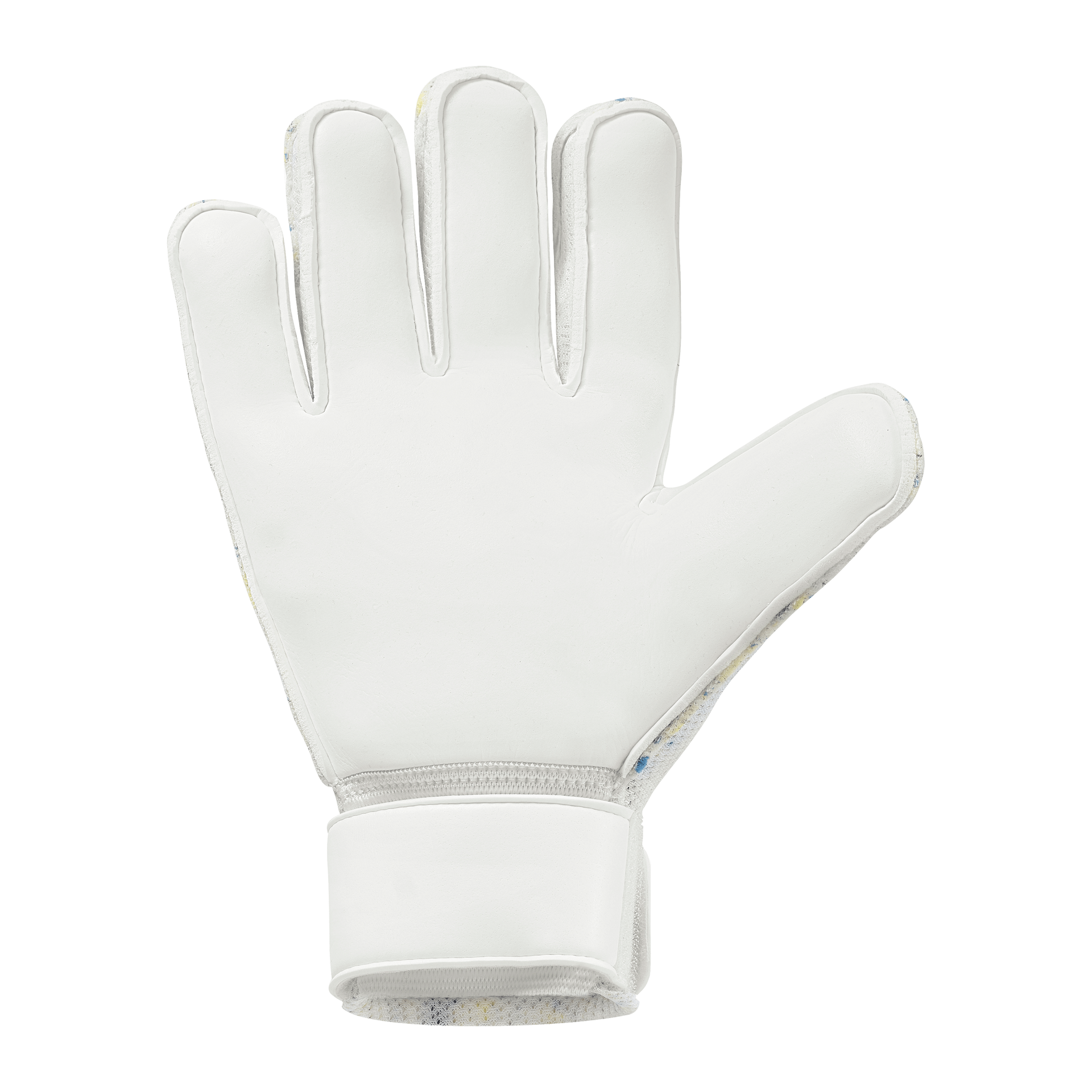 FM Cybertec Starter Soft