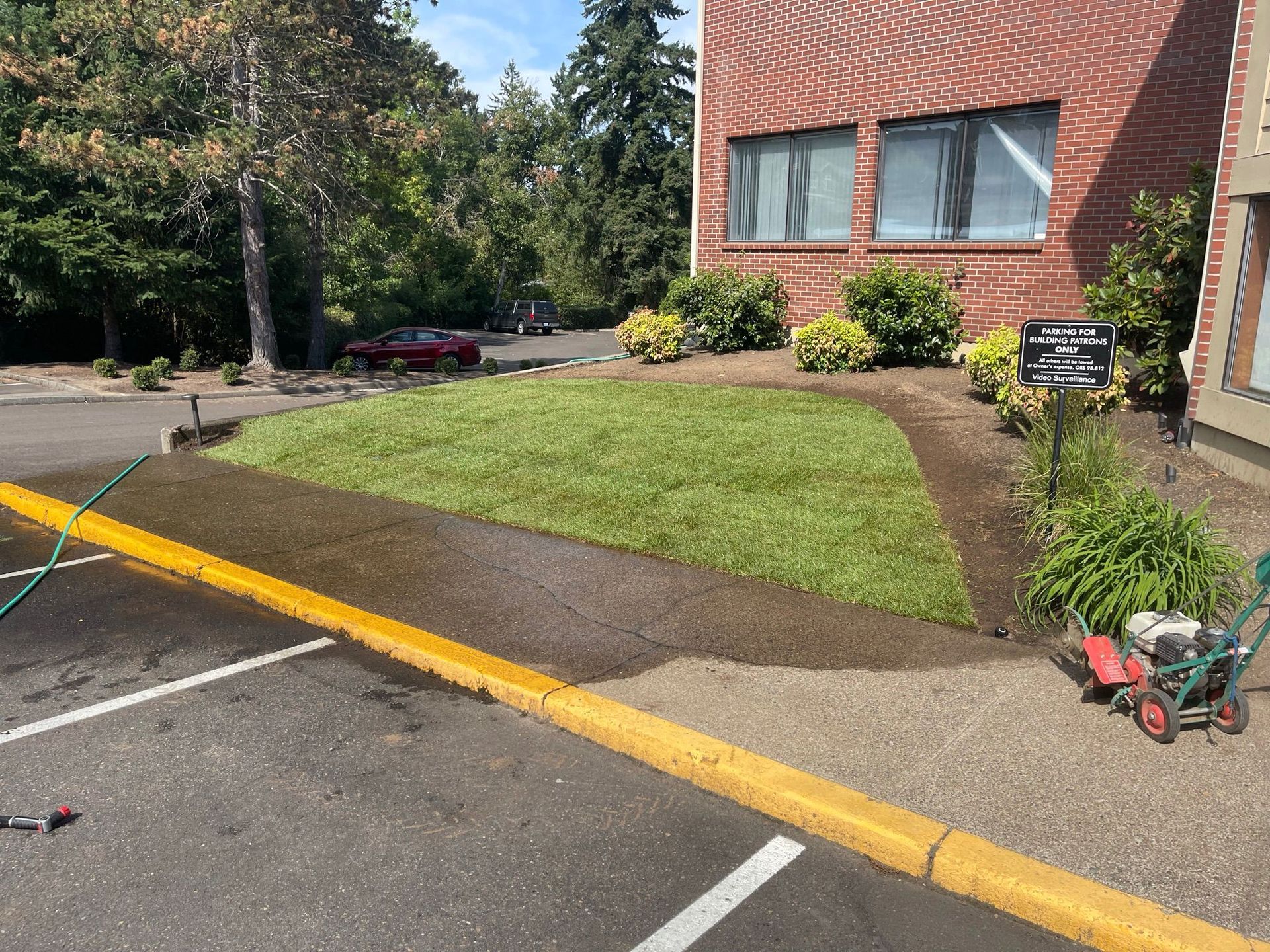 Green lawn freshly watered next to a building, with a yellow water hose and a lawnmower.