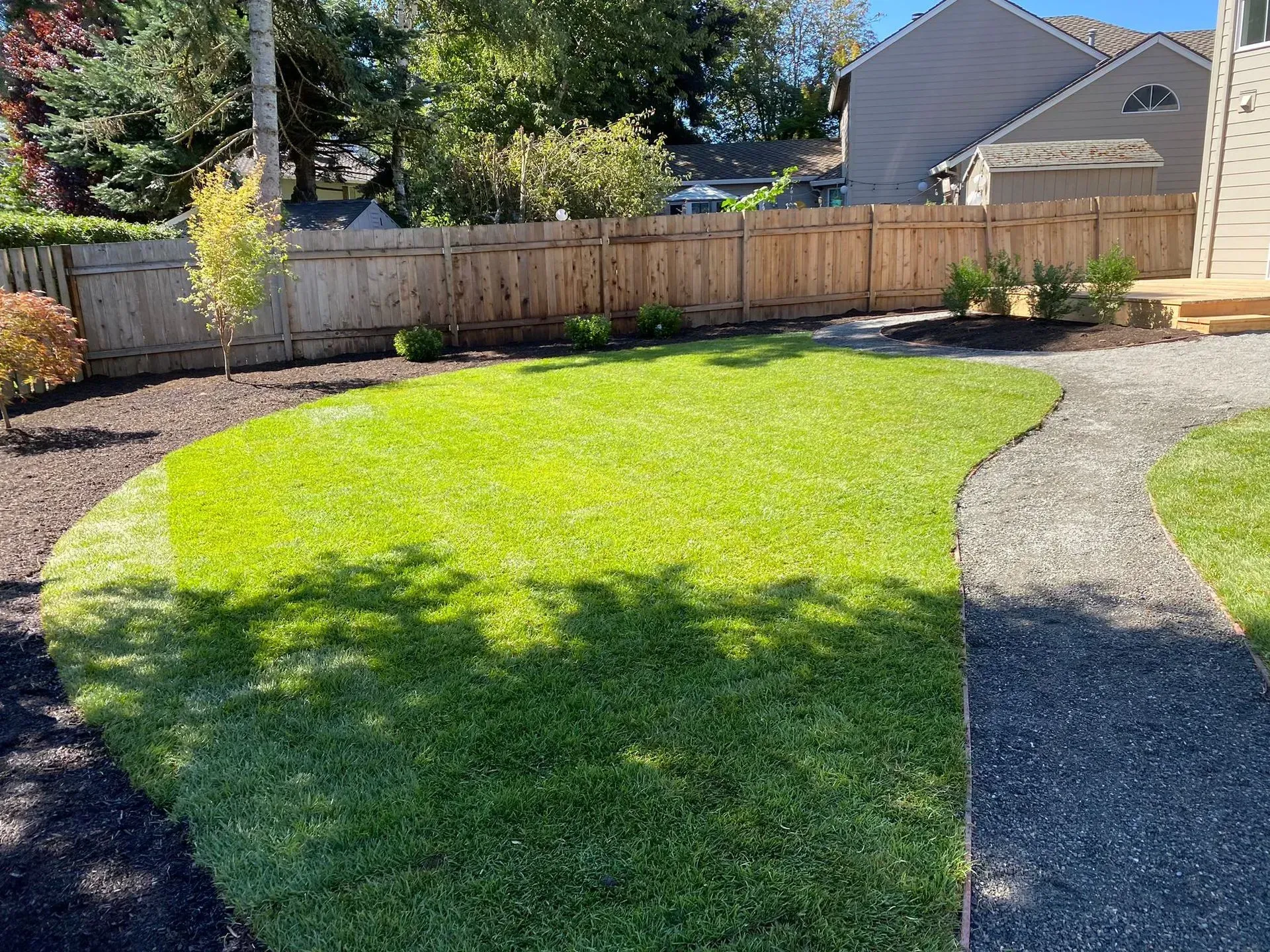 Green lawn with curved edges, bordered by mulch and a gravel path, wooden fence in the background.