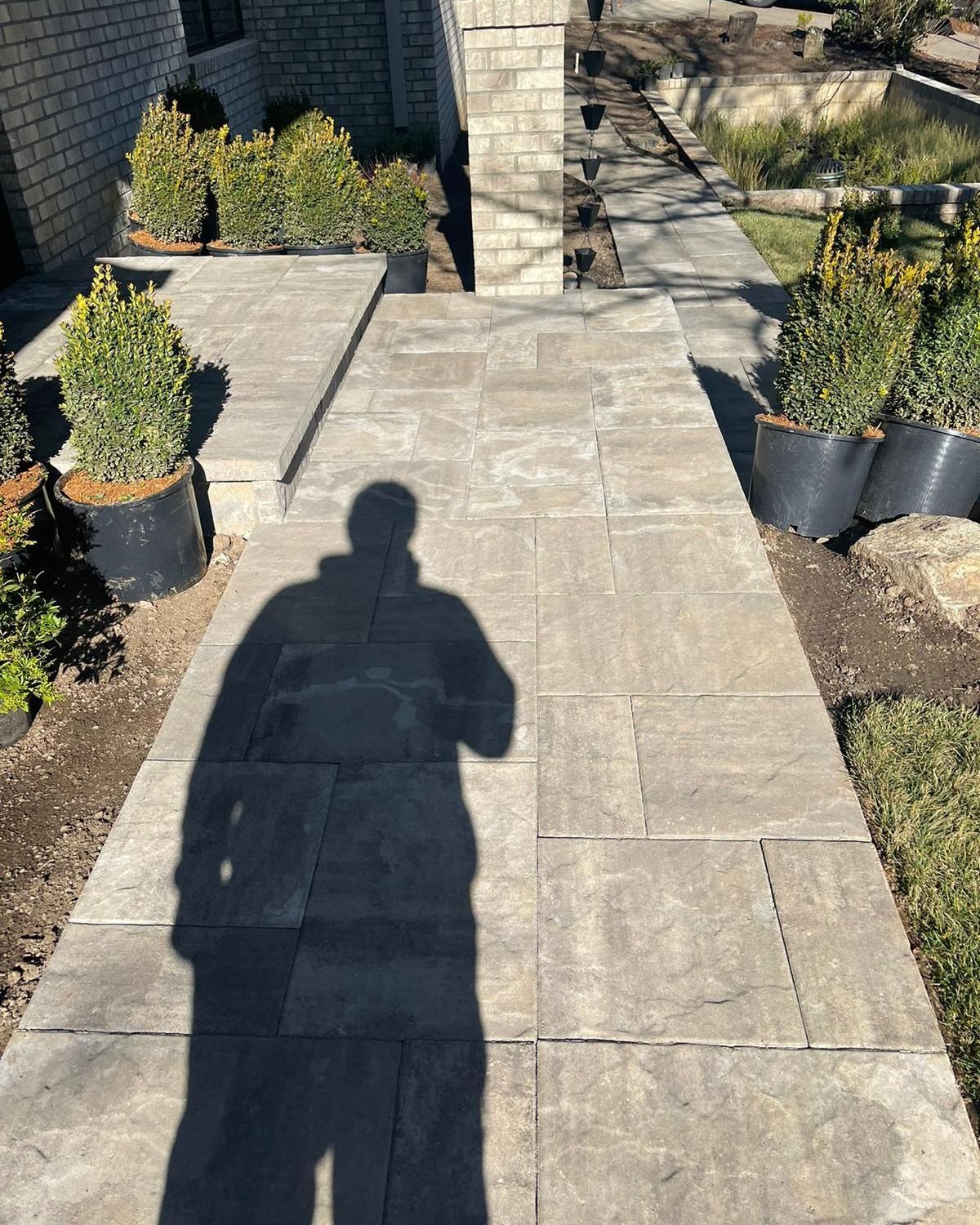 Person's shadow on a stone walkway leading to a building's entrance, flanked by potted shrubs.
