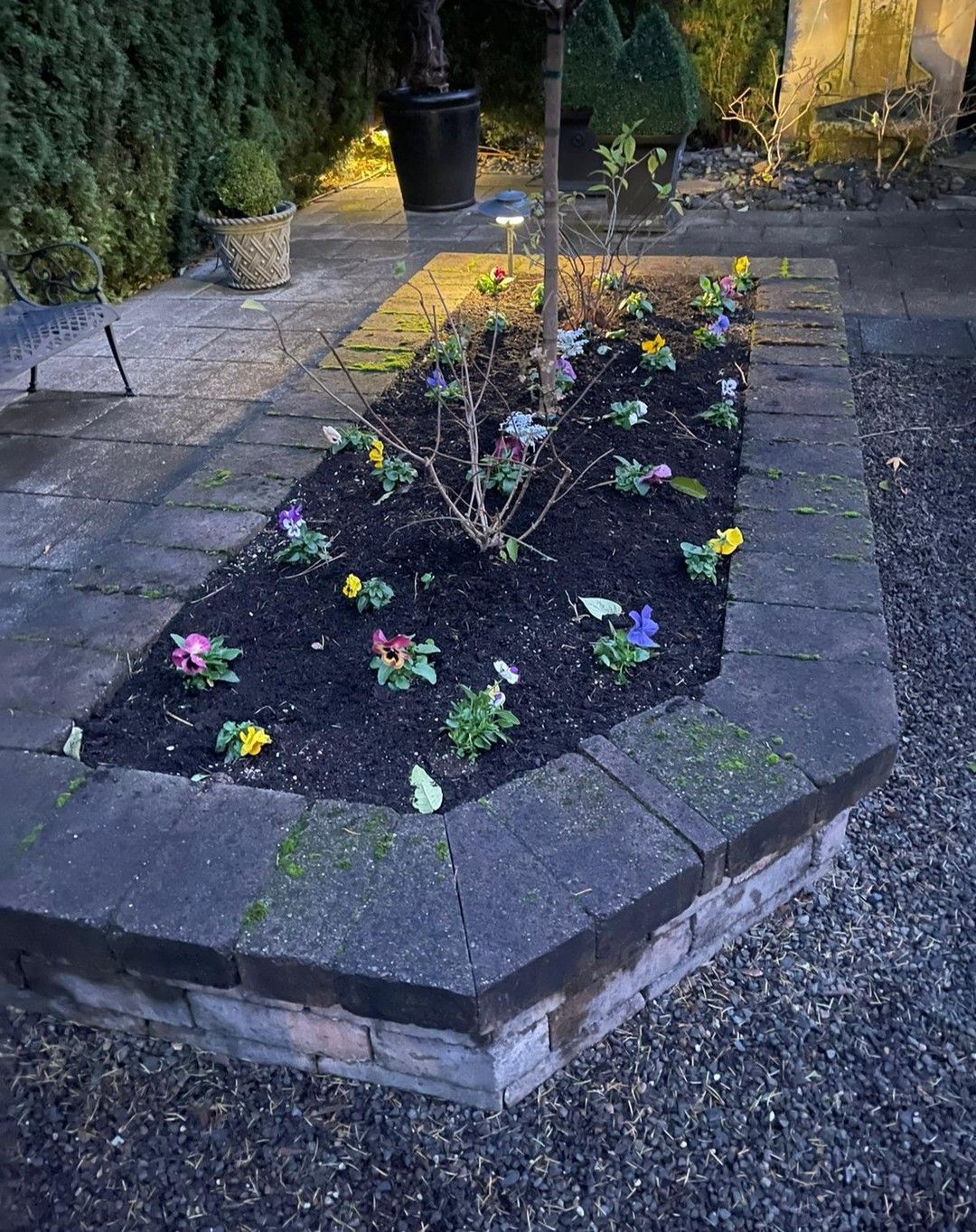Flower bed with colorful pansies and dark soil, surrounded by gray stone border in a garden.