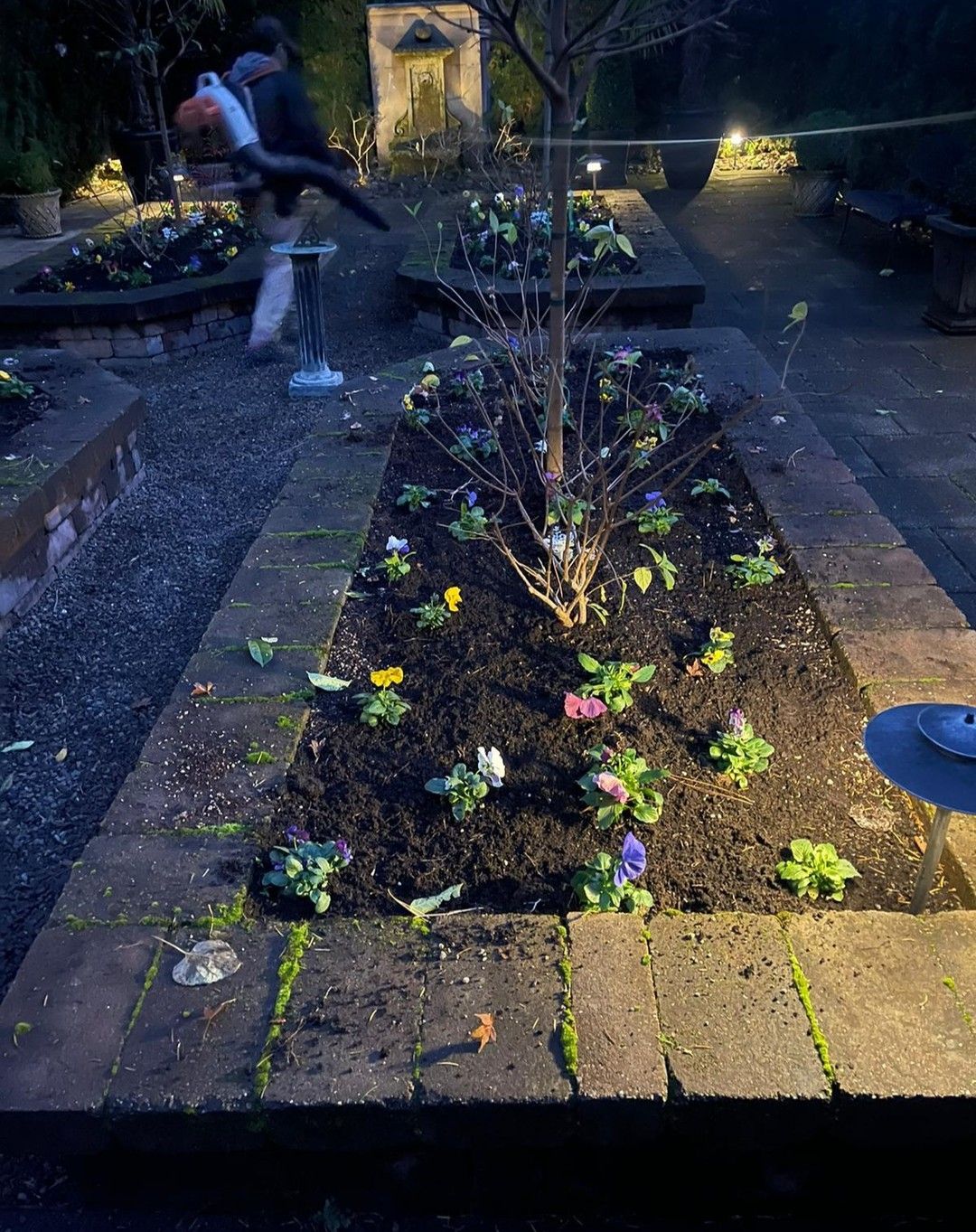 Raised garden beds with colorful flowers, lit at dusk. A tree grows in the center.