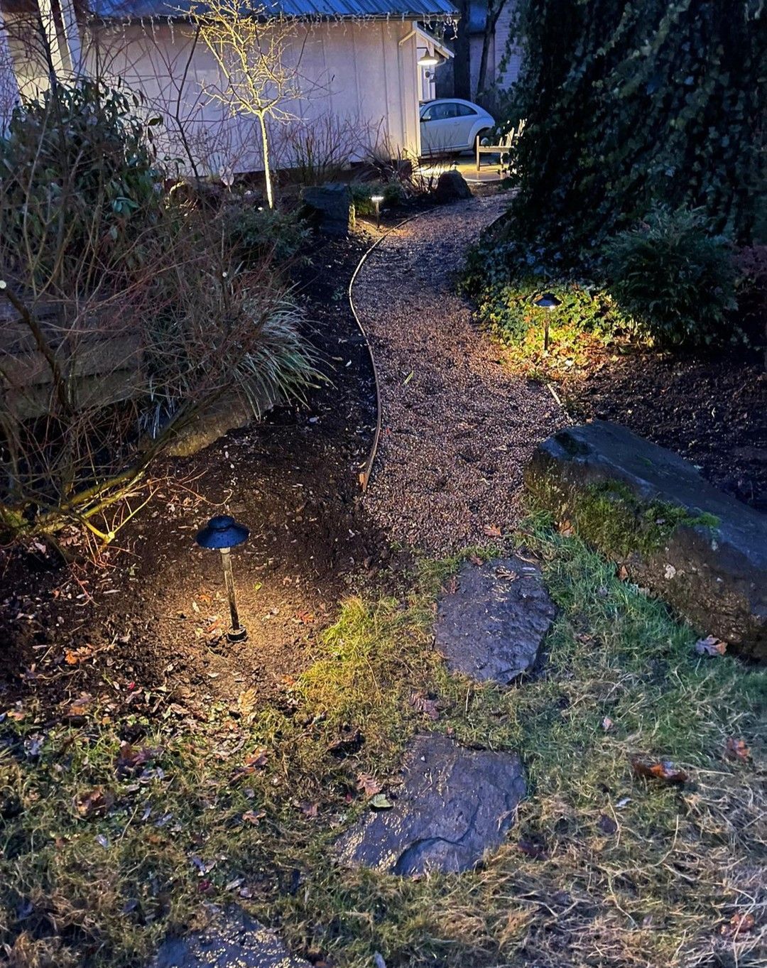 Path winding through a garden, lit by a small spotlight, towards a shed. Mossy ground, dark vegetation.