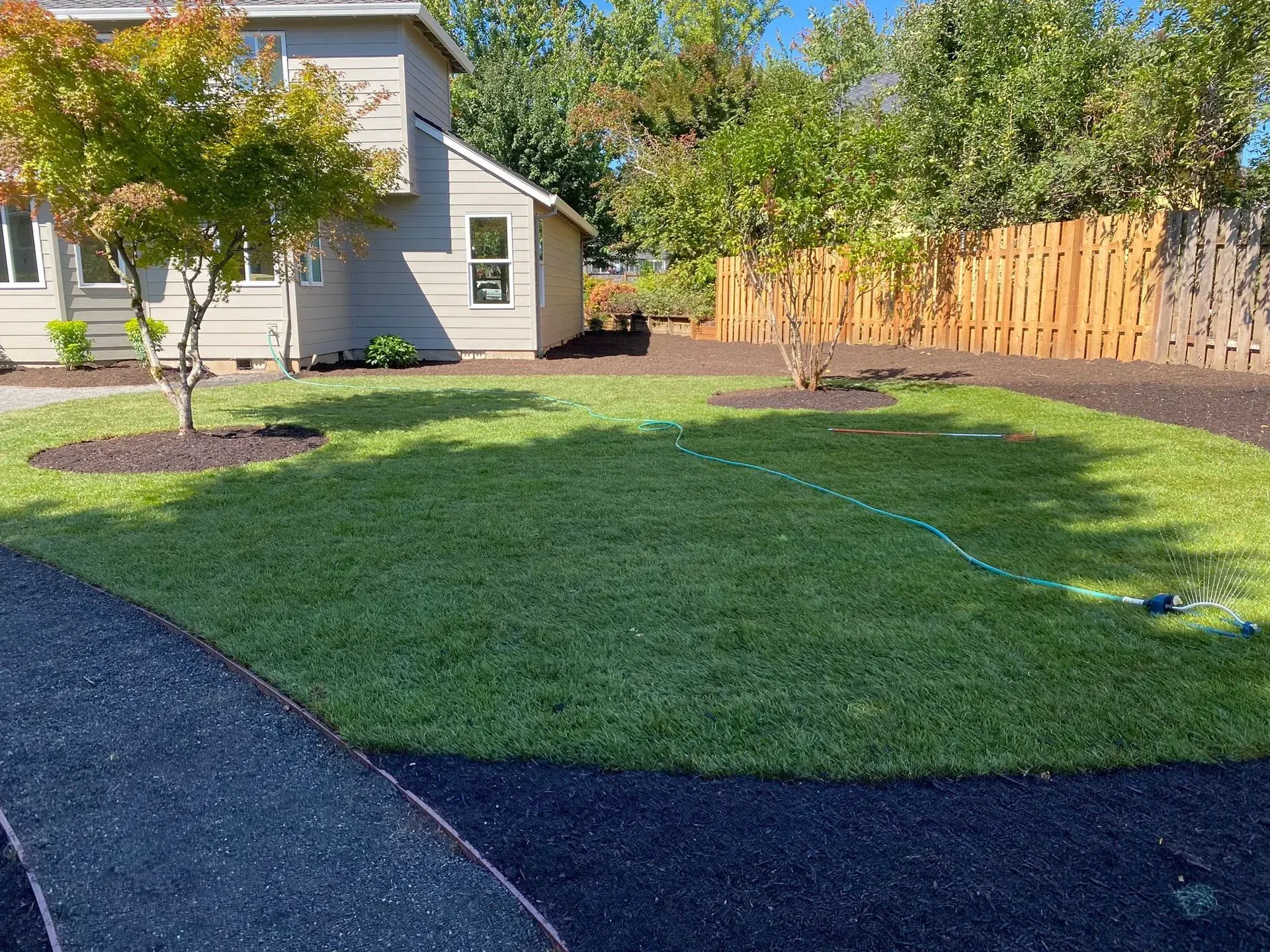 A house with a freshly landscaped yard with green grass, trees, and a wooden fence.