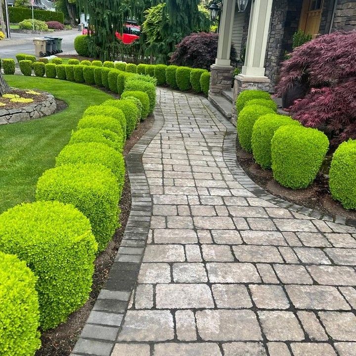 Stone walkway lined with manicured green shrubs leading to a house entrance.