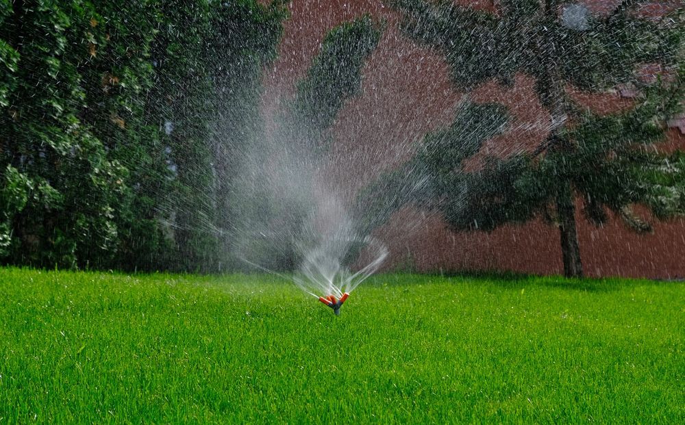 Sprinkler watering a bright green lawn; trees in the background, spray and water drops visible.
