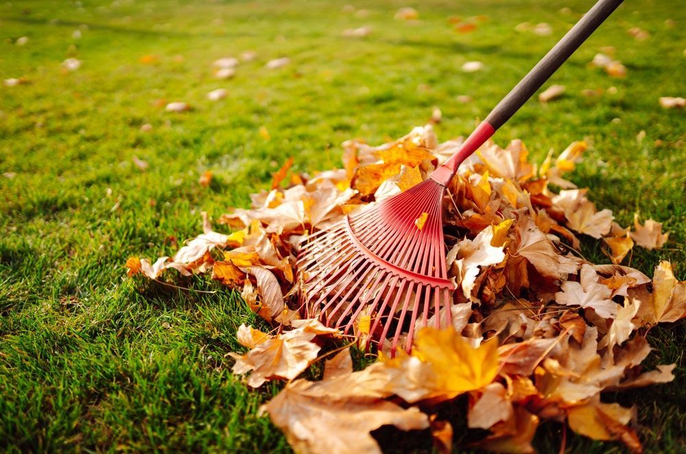 Rake gathering fallen orange and yellow leaves on green grass.