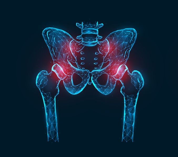 Blue, wireframe image of pelvis and hips with red highlights indicating pain.