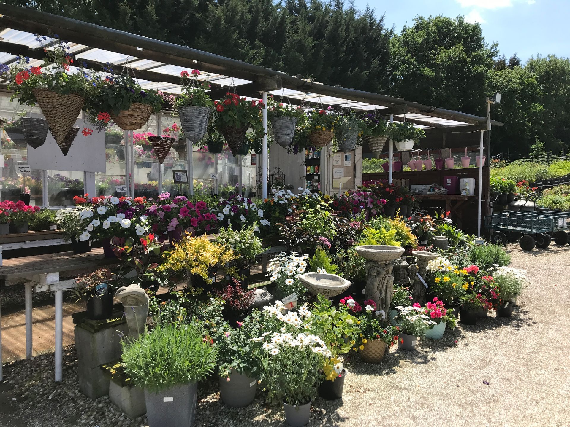 seasonal plants for all kinds of gardens